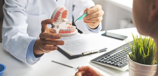a dentist holding a model of teeth for a patient